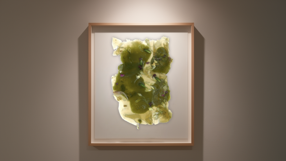 Organic matrix — biomaterial scan