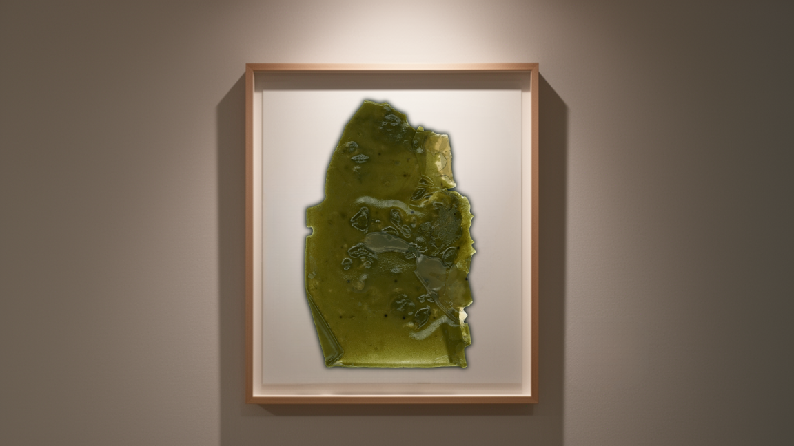 Organic matrix — biomaterial scan