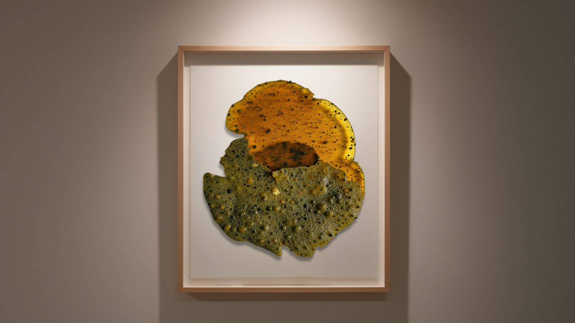 Organic matrix — biomaterial scan