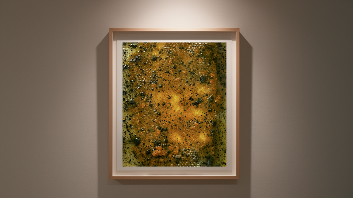 Organic matrix — biomaterial scan