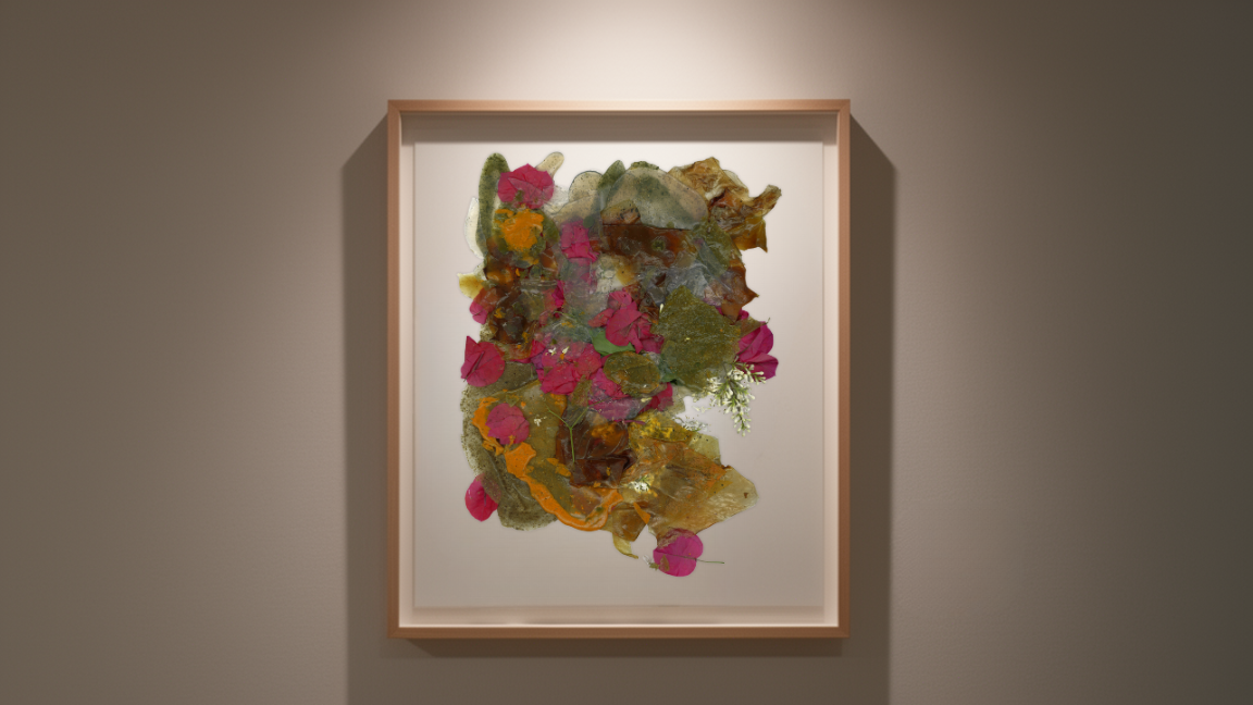Organic matrix — biomaterial scan