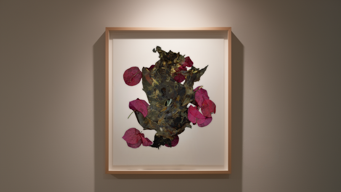 Organic matrix — biomaterial scan
