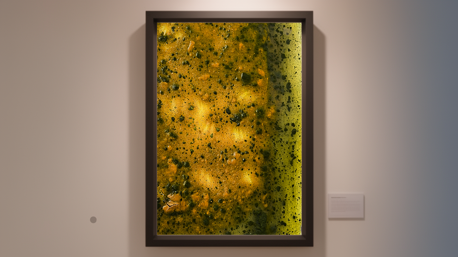 Organic matrix — biomaterial scan