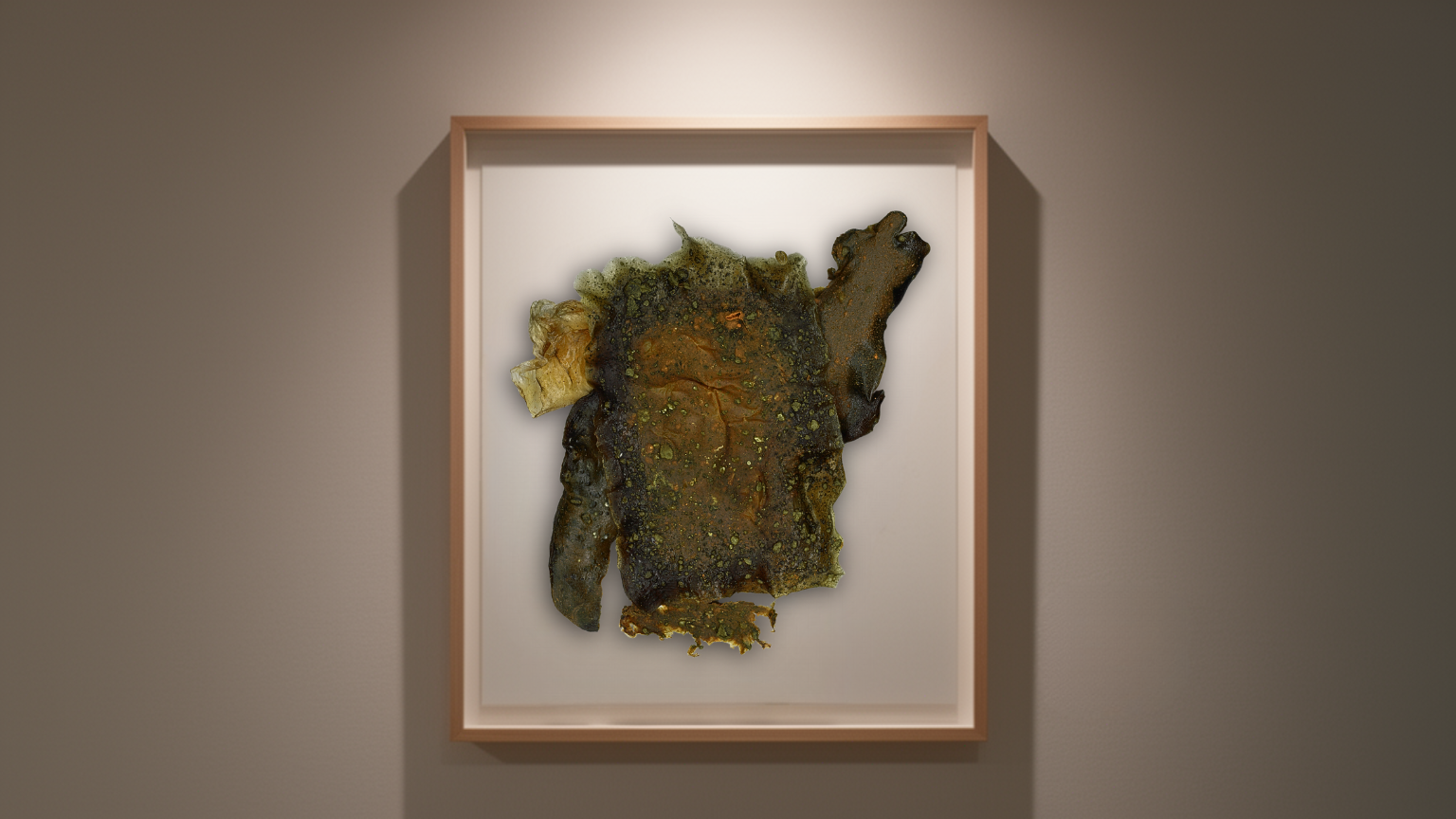 Organic matrix — biomaterial scan