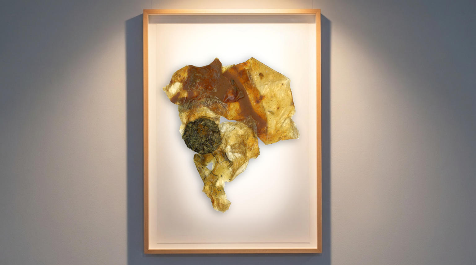 Organic matrix — biomaterial scan