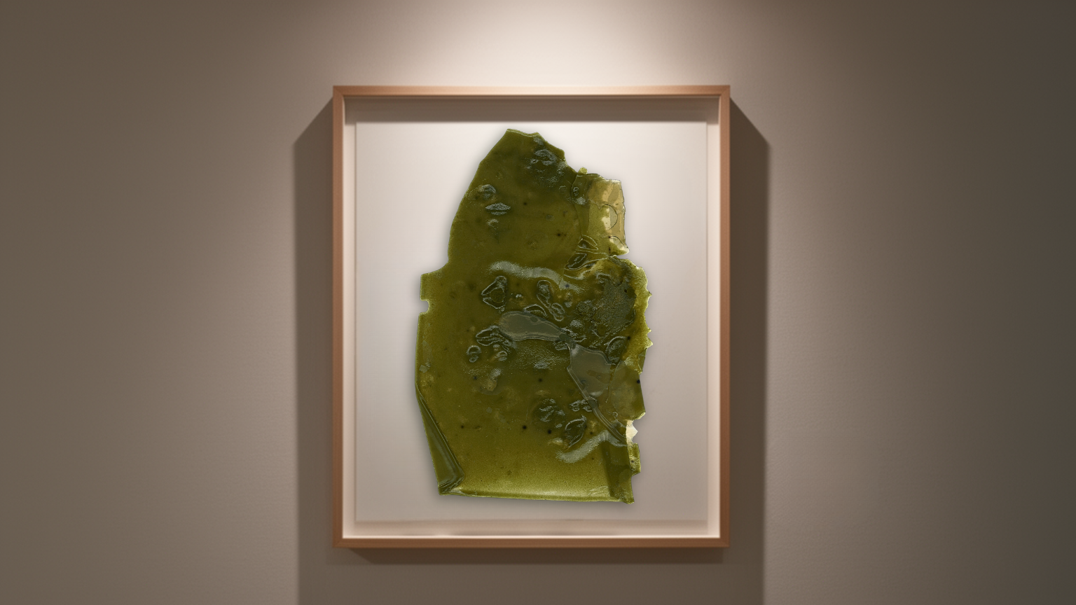 Organic matrix — biomaterial scan