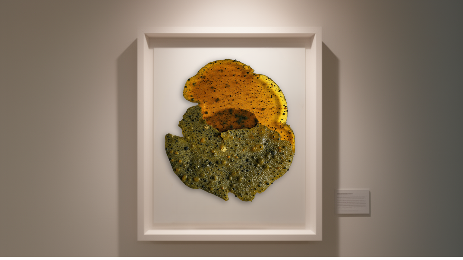 Organic matrix — biomaterial scan